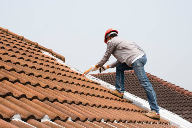 Professional Roofing servicies in Colonial Heights, VA